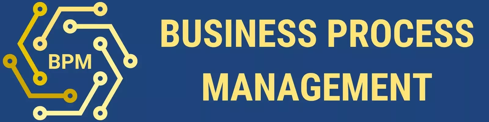 Business Process Management - BPM